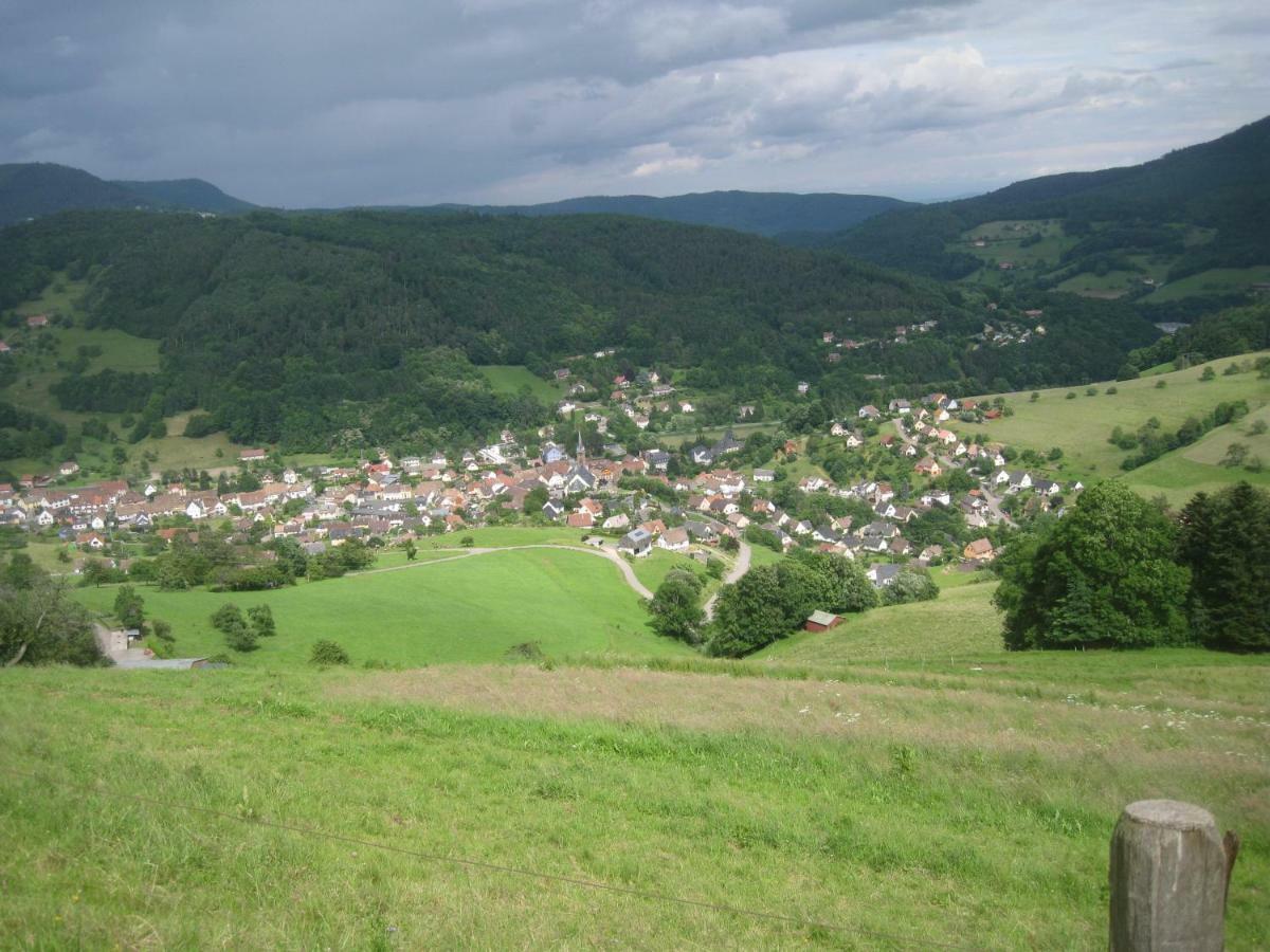 Gite en pleine verdure au coeur du village Lapoutroie Extérieur photo