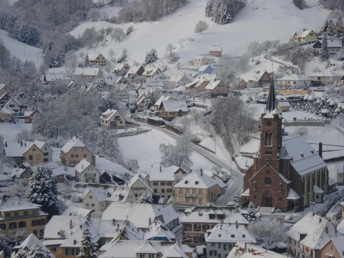 Gite en pleine verdure au coeur du village Lapoutroie Extérieur photo